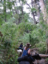 Sometimes rough paths on this 7 day horseback trail ride in chilean andes